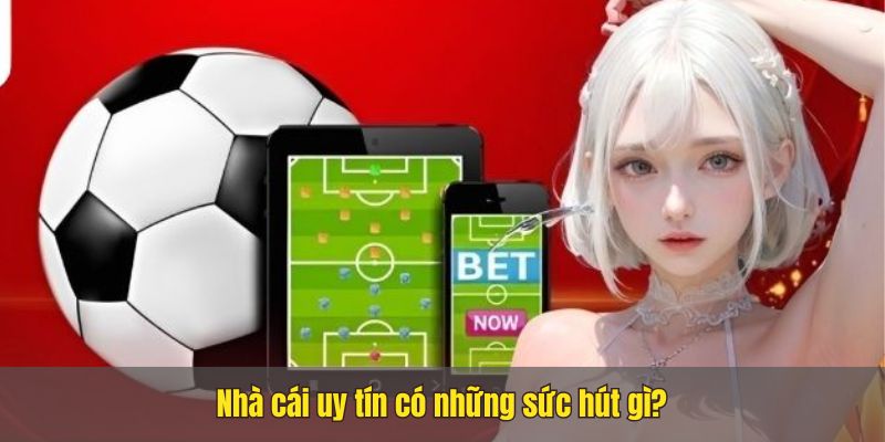 Trang nhà cái uy tín Nhacai24h1.net, bet thủ không nên bỏ qua 3 Trang nhà cái uy tín Nhacai24h1.net, bet thủ không nên bỏ qua